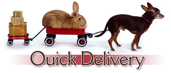 Pet Ground Transportation Service 