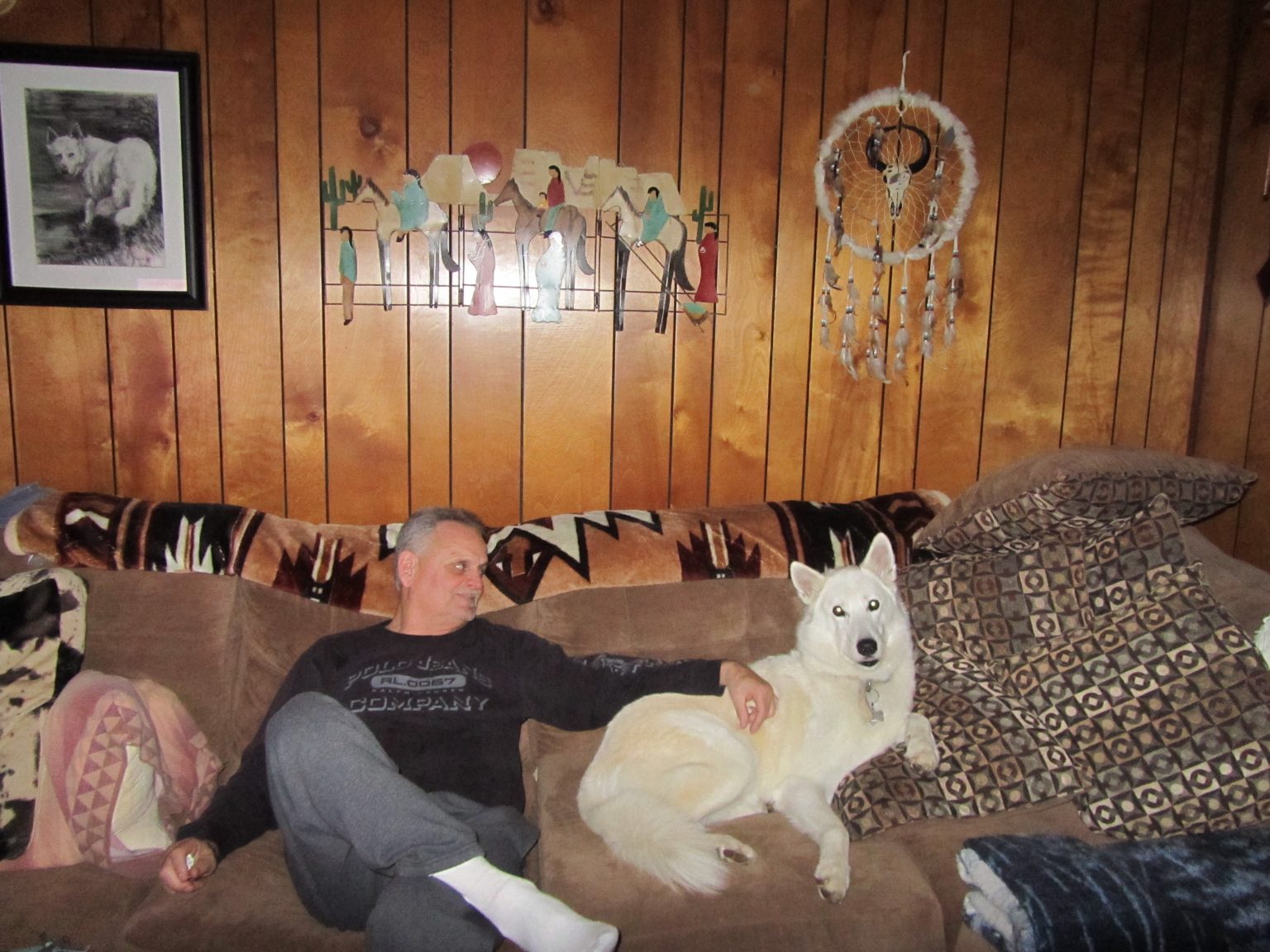 Experienced Pet Relocation & Pet Transportation Company TLC Pet Transport